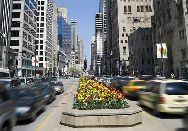 Courtyard Chicago St. Charles Hotel Saint Charles Bagian luar foto